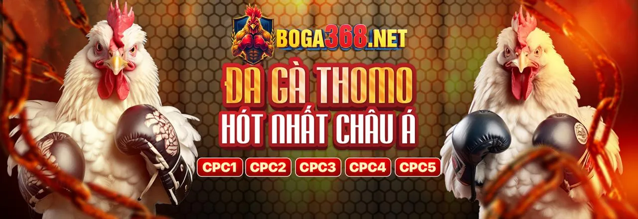 Sòng bạc trực tuyến Zobet Nhà Cái với người chia bài trực tiếp